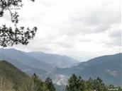 金河村 