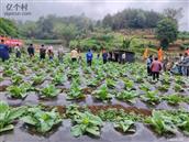 云南省,临沧市,永德县,班卡乡,忙东村