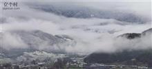 金河村 