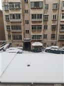 山东省,烟台市,招远市,辛庄镇,北截村