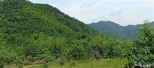湖南省,娄底市,涟源市,七星街镇,洞源村