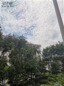 山东省,烟台市,招远市,辛庄镇,北截村