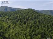 山西省,忻州市,静乐县,杜家村镇,刁儿沟村