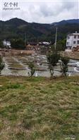 福建省,漳州市,华安县,高安镇,邦都村