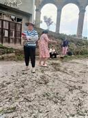 四川省,内江市,资中县,新桥镇,清平村