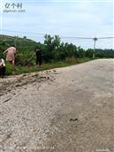 四川省,内江市,资中县,新桥镇,清平村