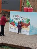 河南省,洛阳市,新安县,五头镇,独树村