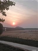 山东省,德州市,齐河县,胡官屯镇,司李村