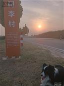 山东省,德州市,齐河县,胡官屯镇,司李村