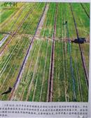 山西省,阳泉市,平定县,巨城镇,龙庄村