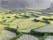 贵州省,黔东南州,黎平县,坝寨乡,高场村