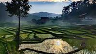 贵州省,黔东南州,黎平县,坝寨乡,高场村