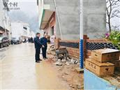 云南省,昭通市,永善县,码口乡,烟坪村