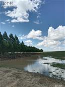 内蒙古,锡林郭勒盟,阿巴嘎旗,吉尔嘎郎图苏木乡,巴雅尔图嘎查村