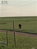 内蒙古,锡林郭勒盟,阿巴嘎旗,吉尔嘎郎图苏木乡,巴雅尔图嘎查村