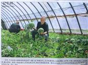 山西省,阳泉市,平定县,冠山镇,榆树院村