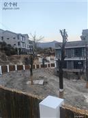 湖南省,岳阳市,平江县,虹桥镇,柘坪村
