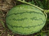 安徽省,黄山市,歙县,北岸镇,五渡村