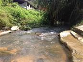 福建省,龙岩市,永定区,峰市镇,新坑村