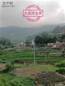 广东省,河源市,龙川县,龙母镇,大庙村