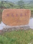 广东省,河源市,龙川县,龙母镇,永光村
