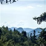 贵州省,毕节市,纳雍县,董地乡,青山村