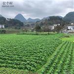 贵州省,遵义市,汇川区,团泽镇,三联村