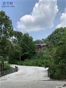 四川省,资阳市,简阳市,石桥镇,野猫村
