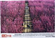 陕西省,西安市,鄠邑区,甘河镇,丁村