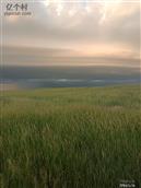 内蒙古,锡林郭勒盟,阿巴嘎旗,吉尔嘎郎图苏木乡,巴雅尔图嘎查村