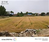 河北省,衡水市,武邑县,清凉店镇,后豆屯村