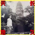 江苏省,淮安市,淮阴区,码头镇,张庄镇村