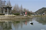 塔幢村 