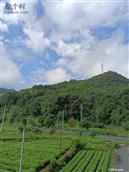 浙江省,丽水市,松阳县,水南街道,岩西村