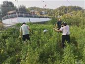 湖南省,张家界市,永定区,沅古坪镇,盘塘村