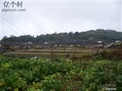 后坪村 