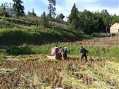 四川省,达州市,宣汉县,凉风乡,凉垭村