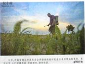 河南省,商丘市,夏邑县,会亭镇,南街村