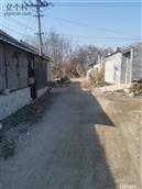 山东省,泰安市,岱岳区,良庄镇,东延东村