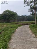 广西,贺州市,八步区,贺街镇,龙马村