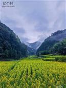 浙江省,杭州市,淳安县,汾口镇,红旗村