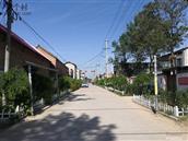 河南省,新乡市,封丘县,王村乡,岳占村