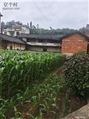 广西,贺州市,八步区,贺街镇,龙马村