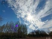 河南省,新乡市,长垣市,苗寨镇,贾庄村