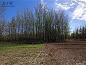 河南省,新乡市,长垣市,苗寨镇,贾庄村