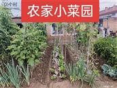 山西省,大同市,云州区,党留庄乡,罗庄村