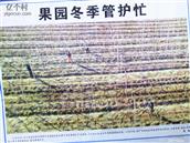 山西省,阳泉市,盂县,孙家庄镇,紫牛庄村