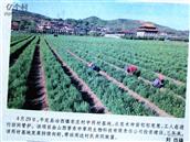 山西省,阳泉市,平定县,冶西镇,东庄村