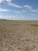 内蒙古,锡林郭勒盟,阿巴嘎旗,吉尔嘎郎图苏木乡,巴雅尔图嘎查村