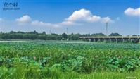 山东省,淄博市,临淄区,齐陵街道,刘家终村